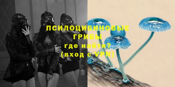 mdpv Няндома