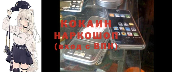 прущие крисы Болотное