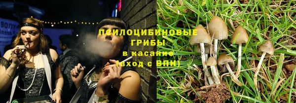 MDMA Новодвинск