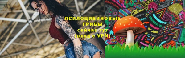 кокаин Новозыбков